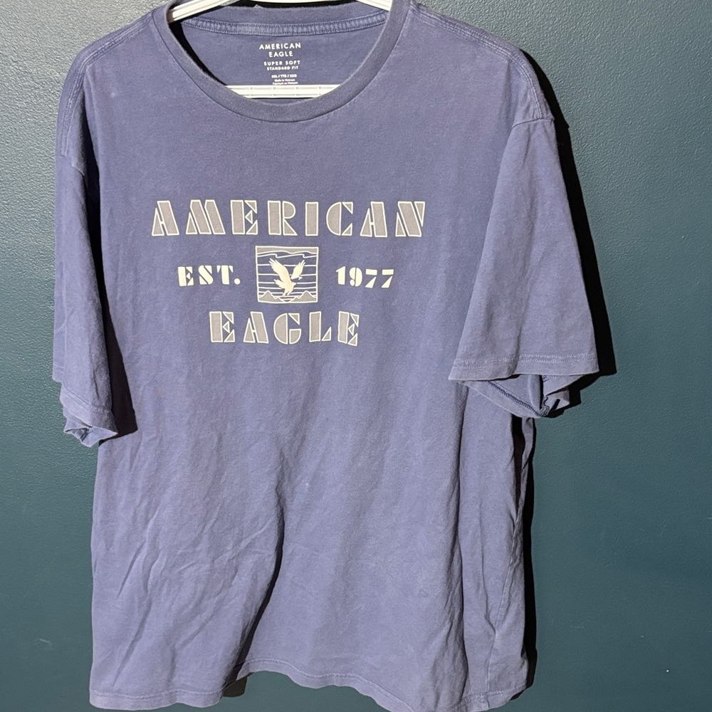 American Eagle Outfitters Men's Blue Graphic Tee